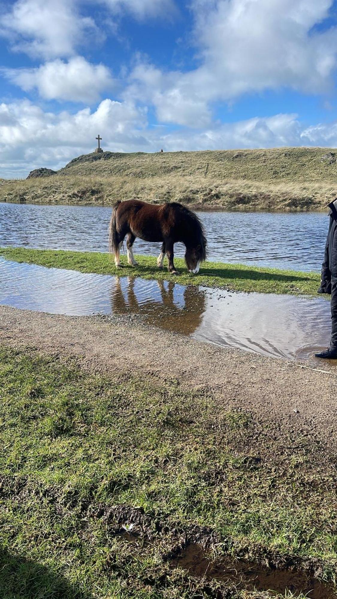 Gwenallt Dwyran Eksteriør bilde